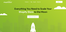 Shoptimized Theme Review 2022