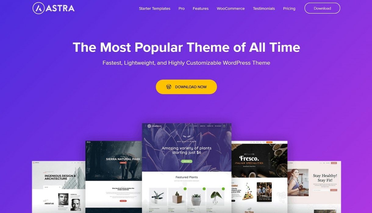 astra-theme-review