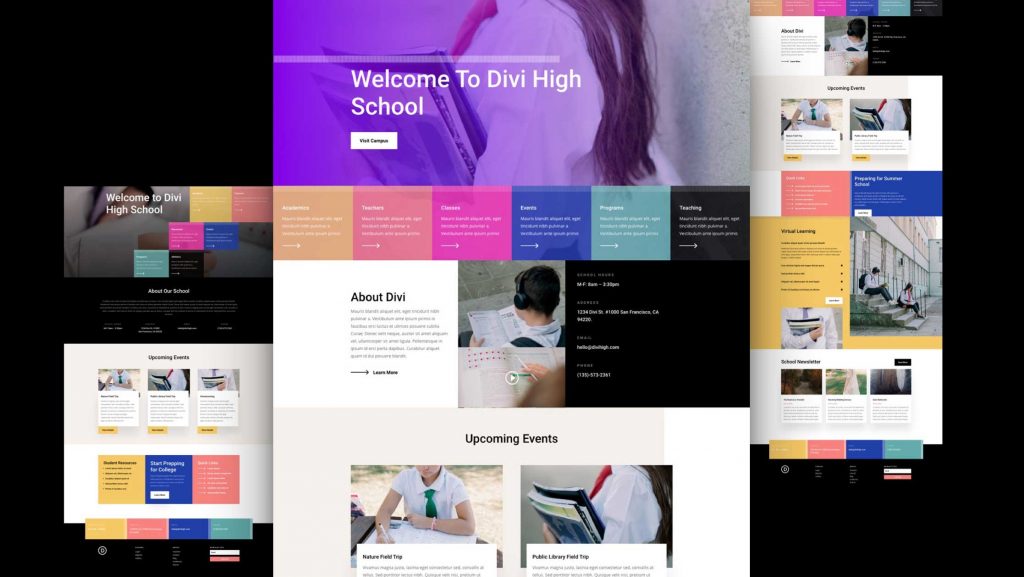 Divi Premium Themes